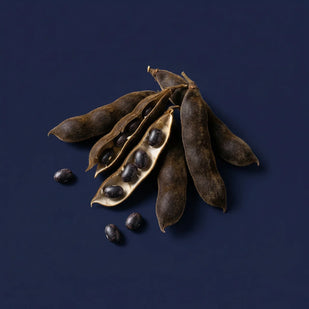 MUCUNA PRURIENS (100mg)